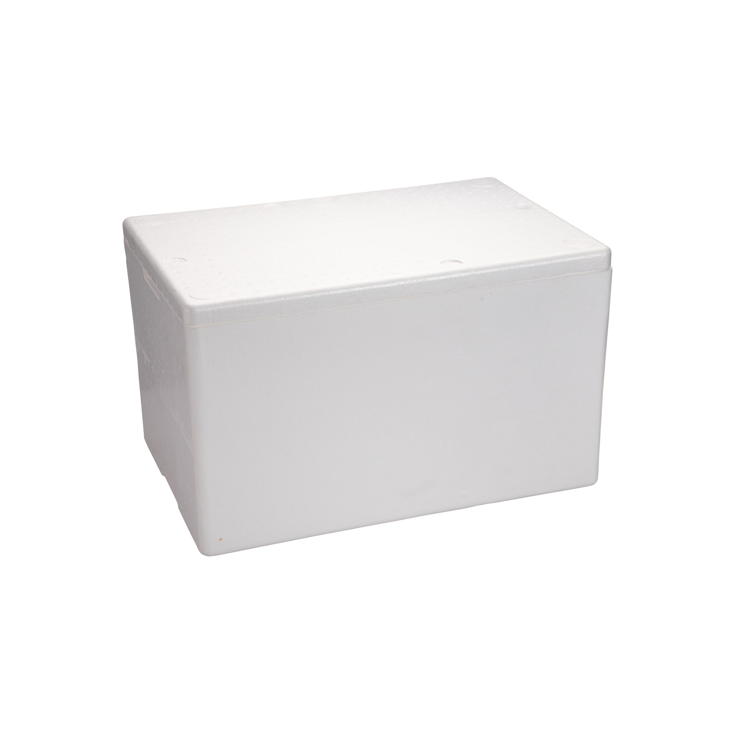 A54 – Large Ice Box